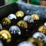 Blockchain Technologie - Close-Up Shot of Bitcoins Buried in the Ground