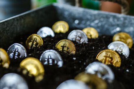 Blockchain Technologie - Close-Up Shot of Bitcoins Buried in the Ground